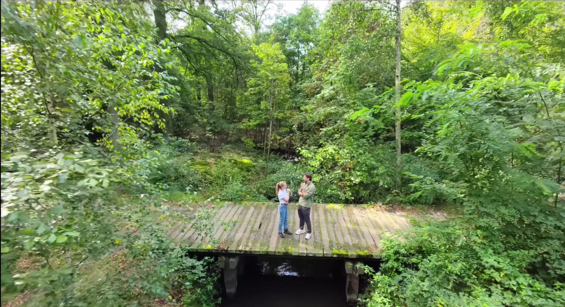Wandelen in het bos in Brabant